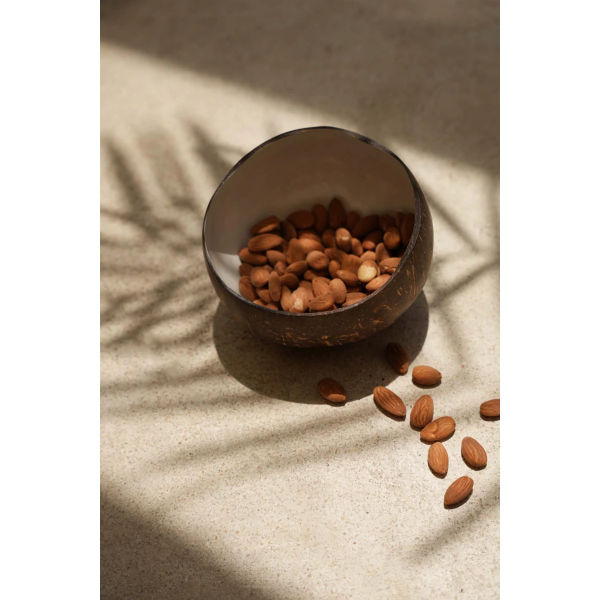 Bol Coco - Blanc Naturel