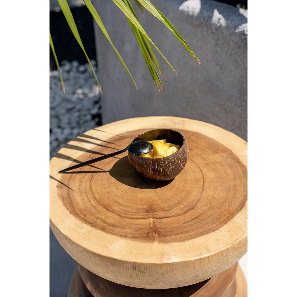 Bol de Nourriture Coco - Noir Naturel
