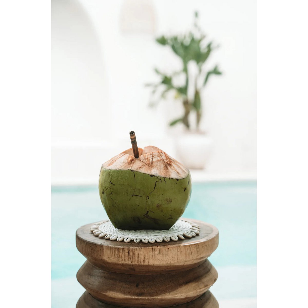 Coaster Seagrass Shell Pan - Blanc