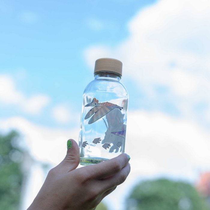 Bouteille verre 0,4 L - PETIT DINO