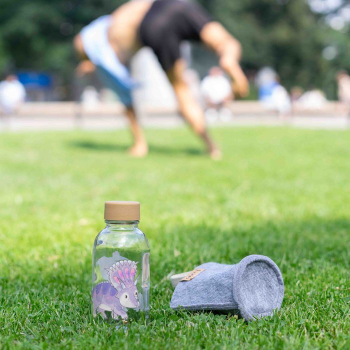 Bouteille verre 0,4 L - PETIT DINO