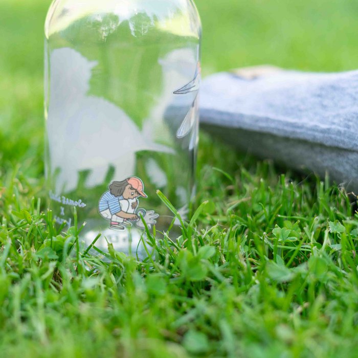 Bouteille verre 0,4 L - PETIT DINO