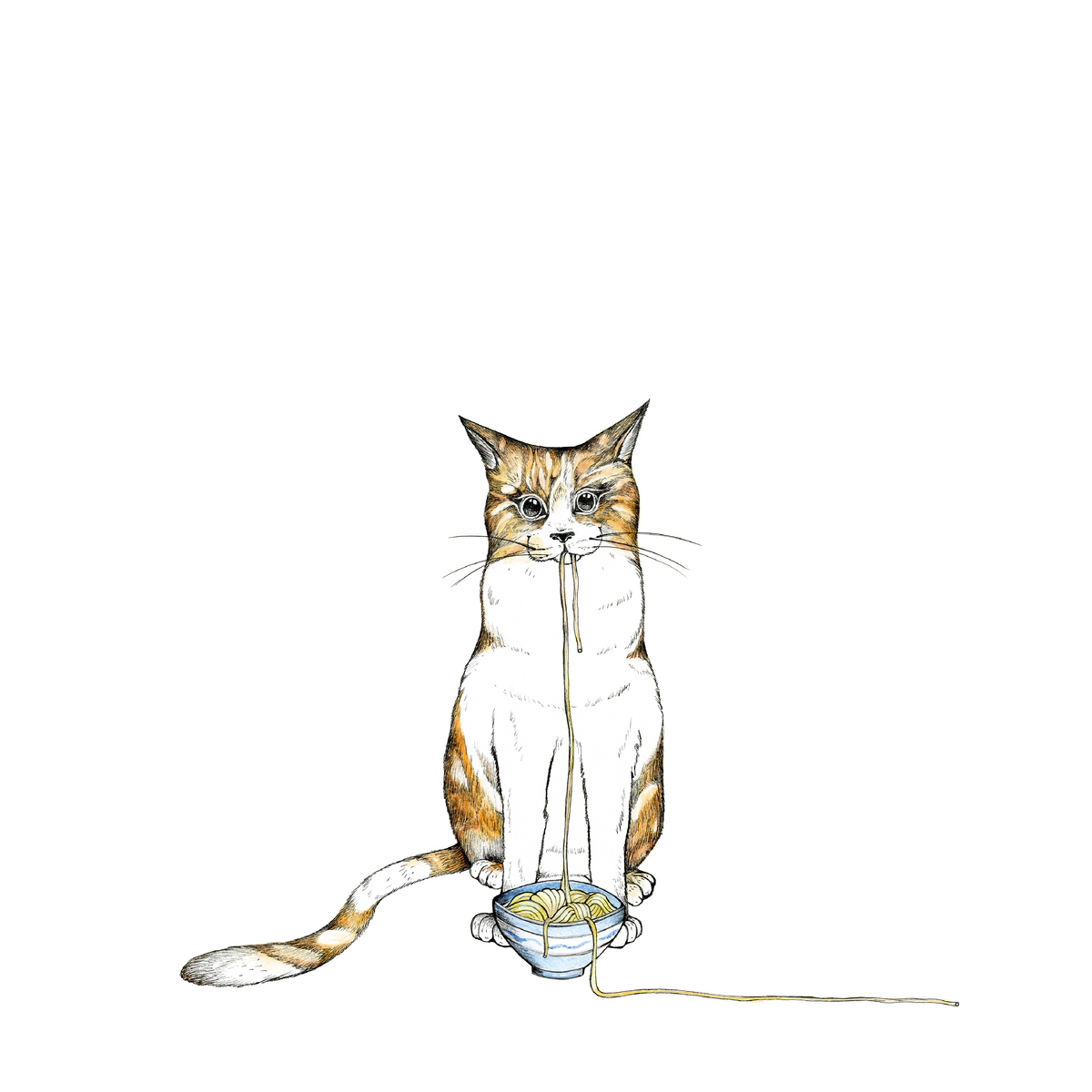 Bouteille en verre RAMEN CHAT 0,7l
